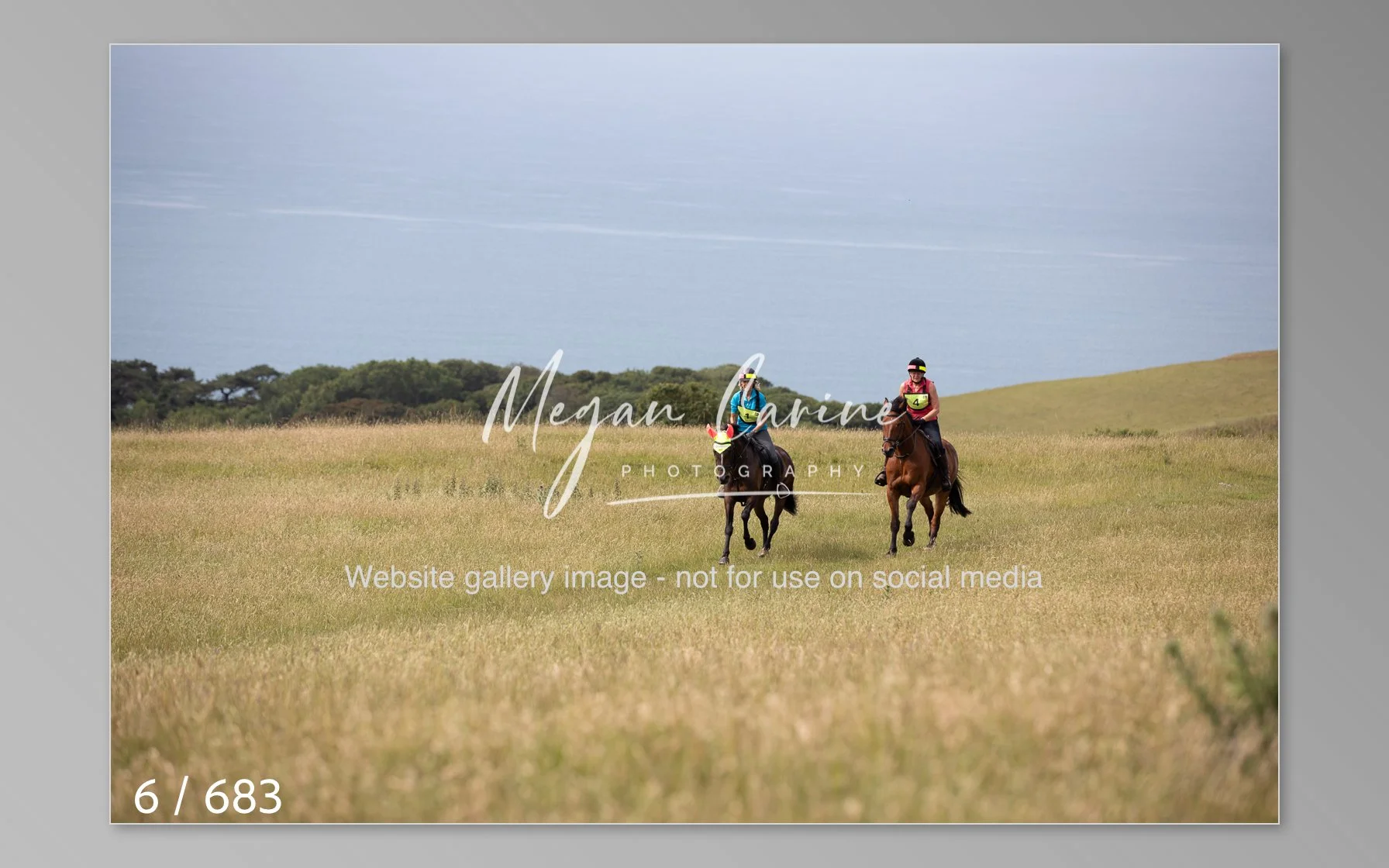 Abbotsbury-006.jpg