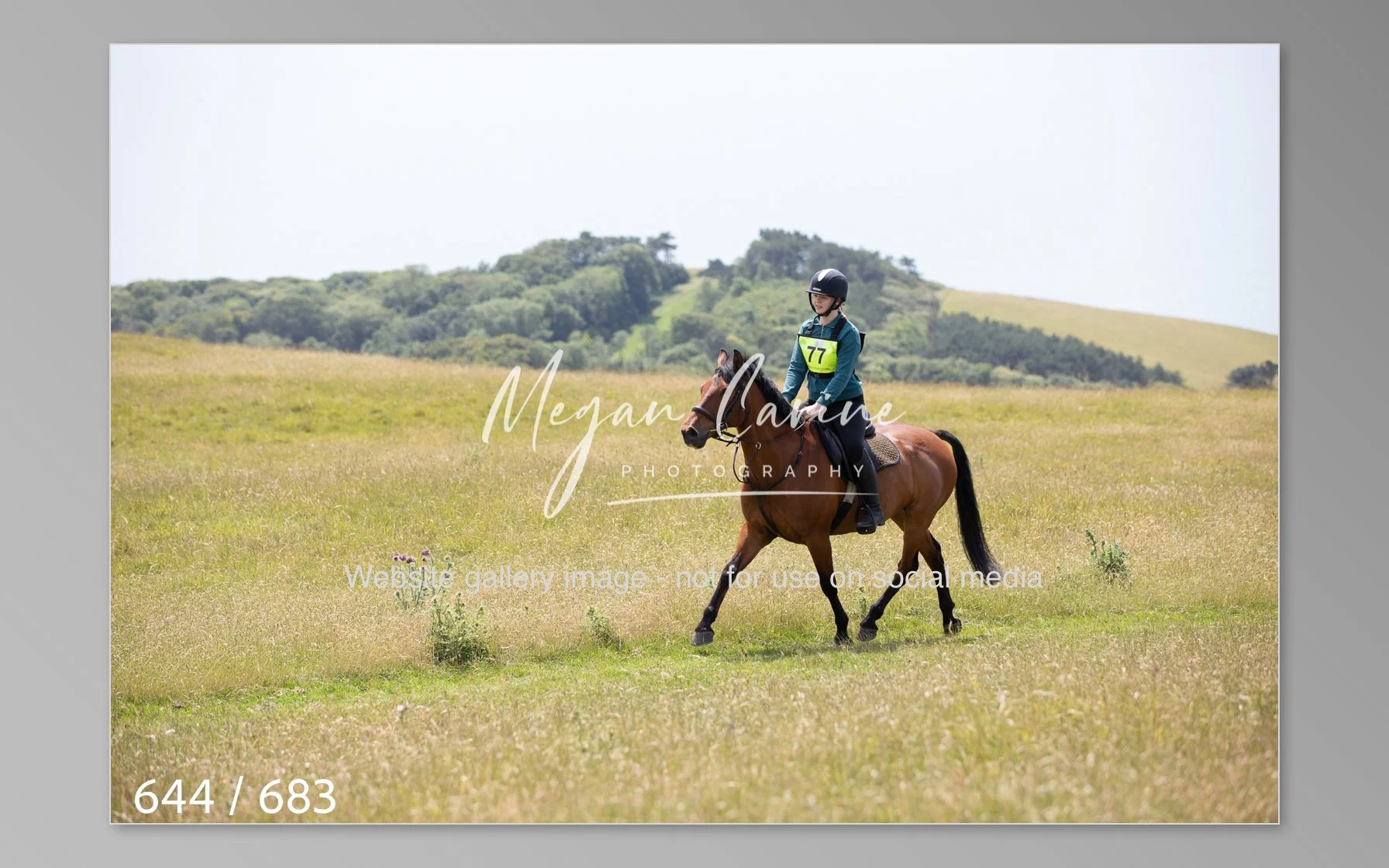 Abbotsbury-644.jpg
