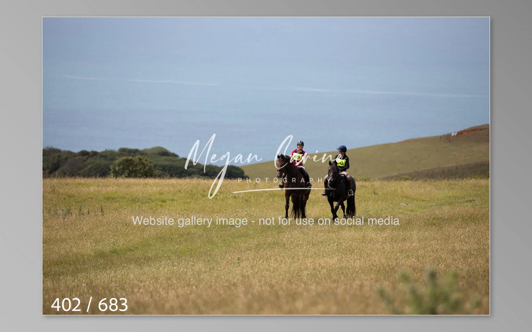 Abbotsbury-402.jpg