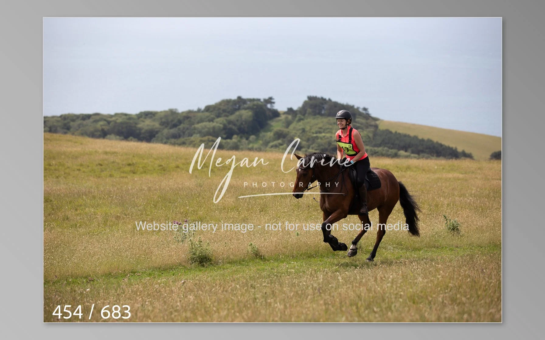Abbotsbury-454.jpg