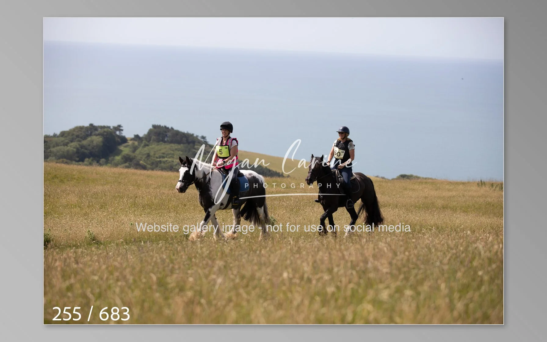 Abbotsbury-255.jpg