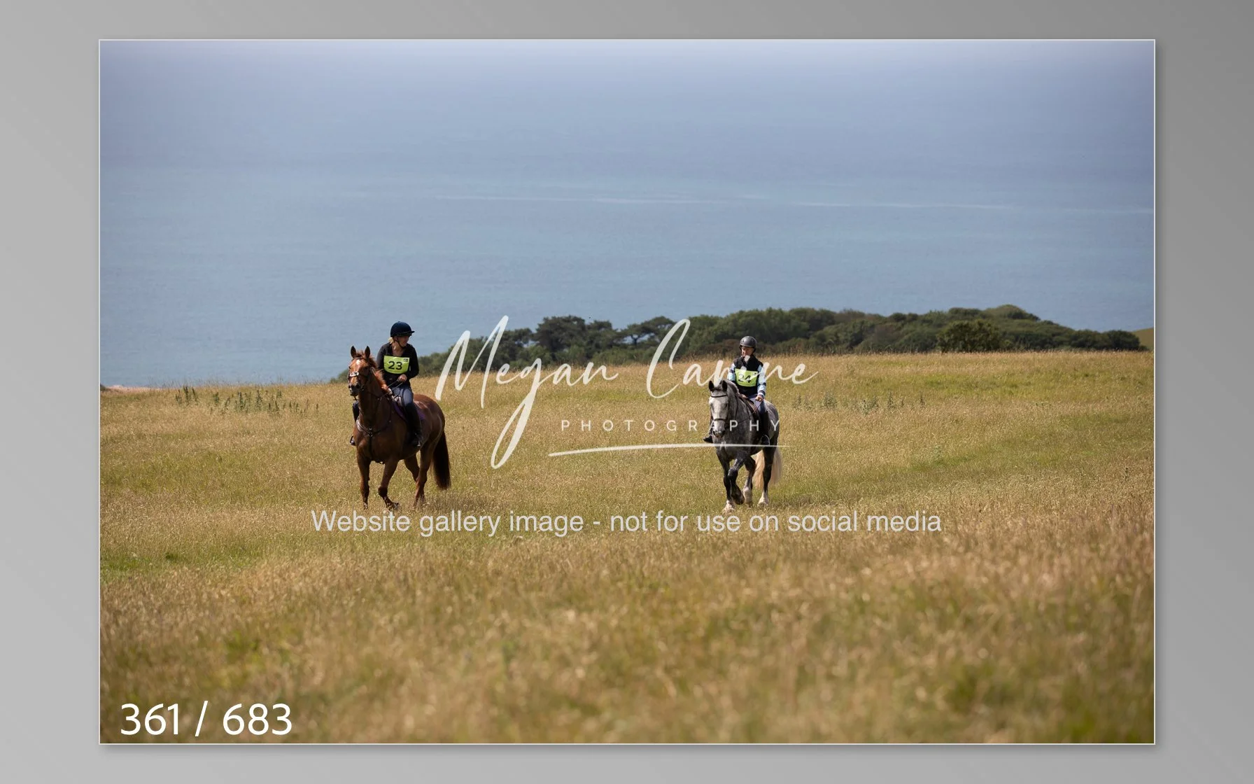 Abbotsbury-361.jpg