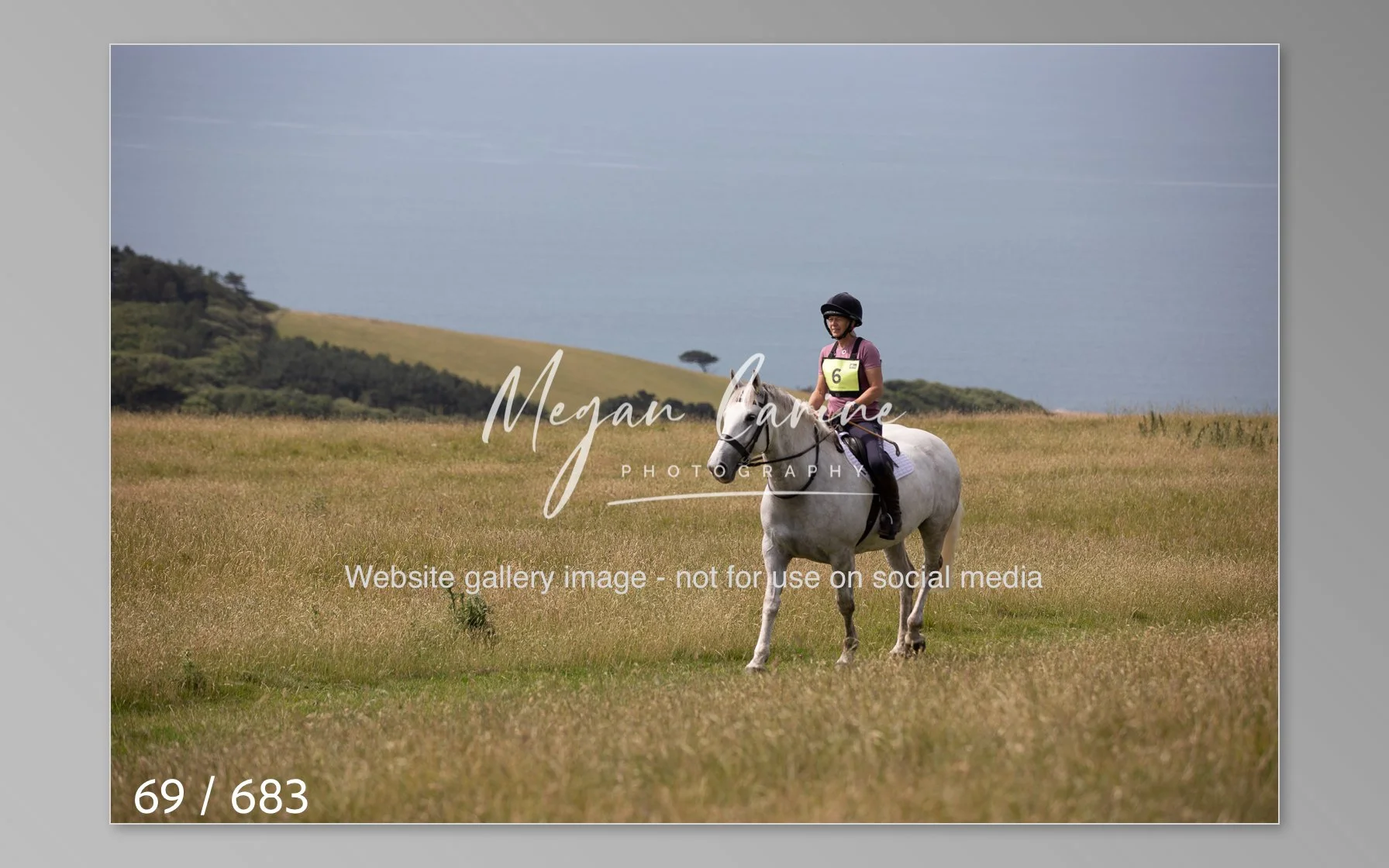 Abbotsbury-069.jpg