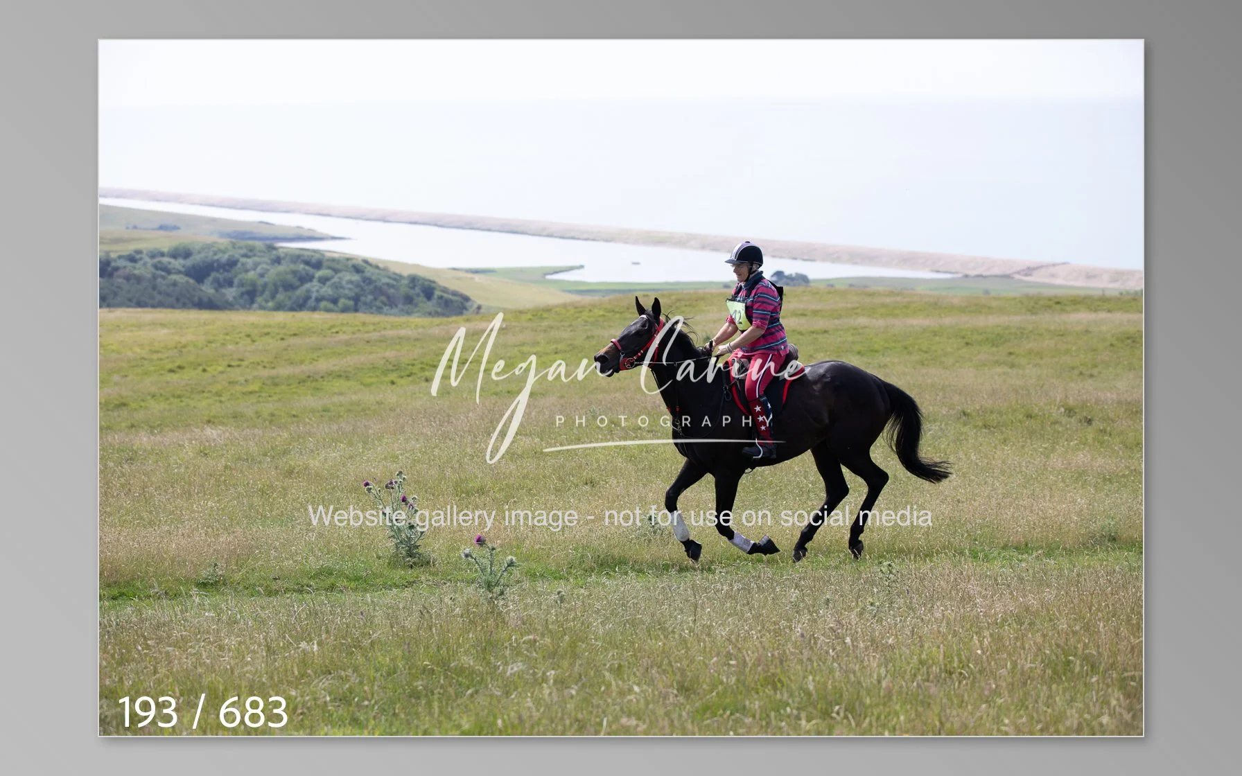 Abbotsbury-193.jpg