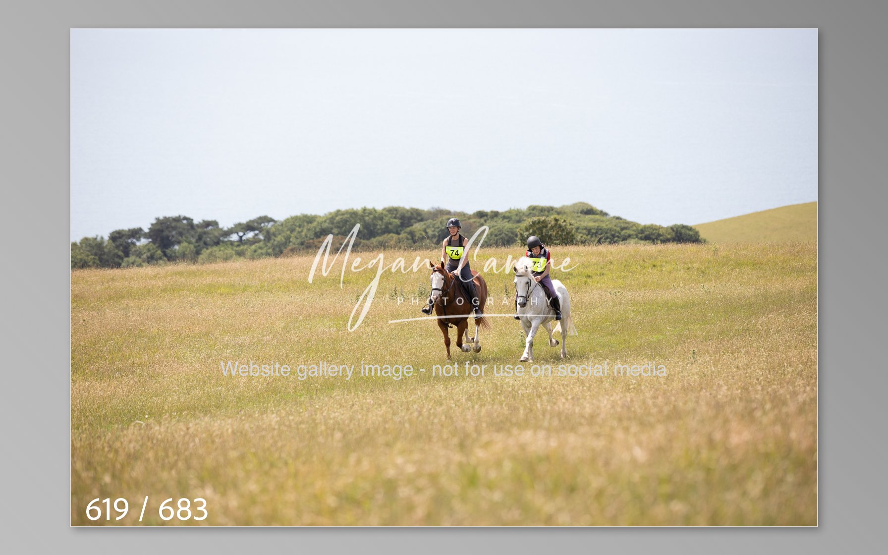 Abbotsbury-619.jpg