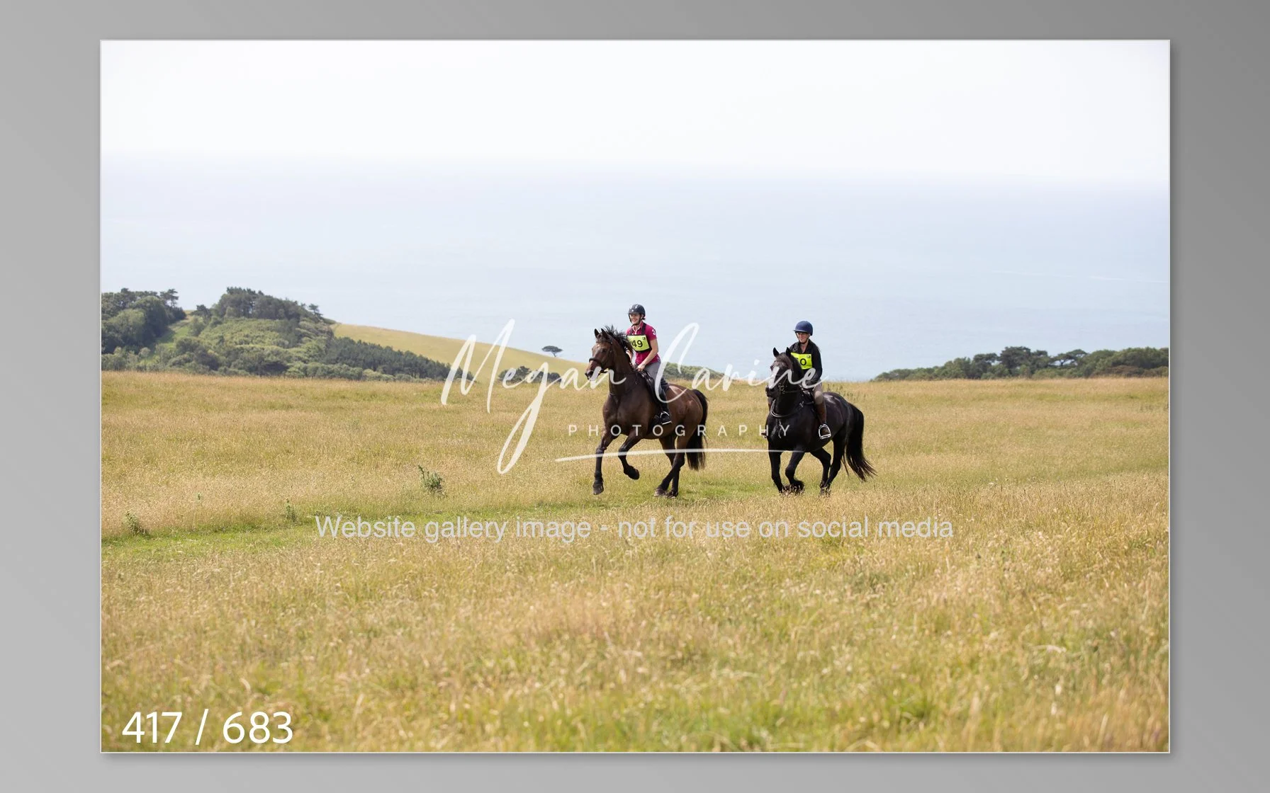 Abbotsbury-417.jpg