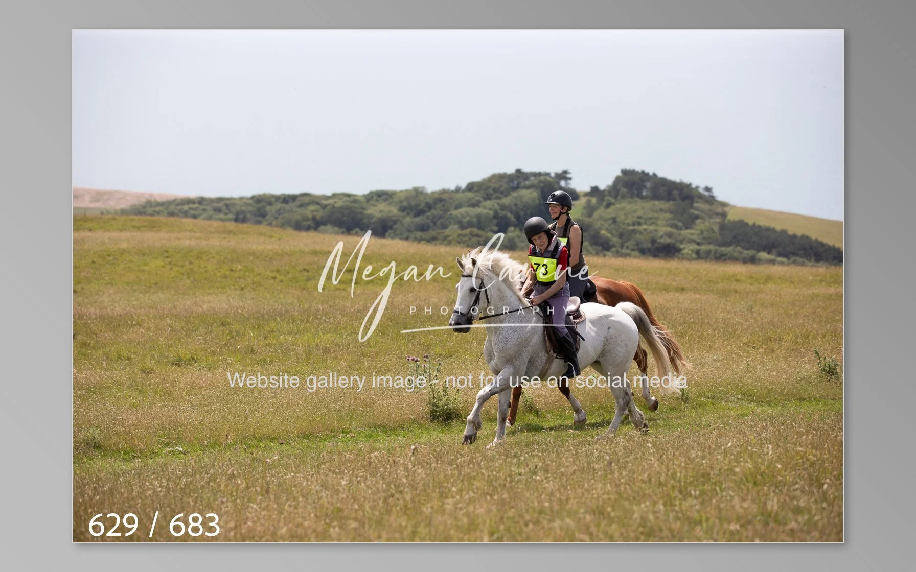 Abbotsbury-629.jpg