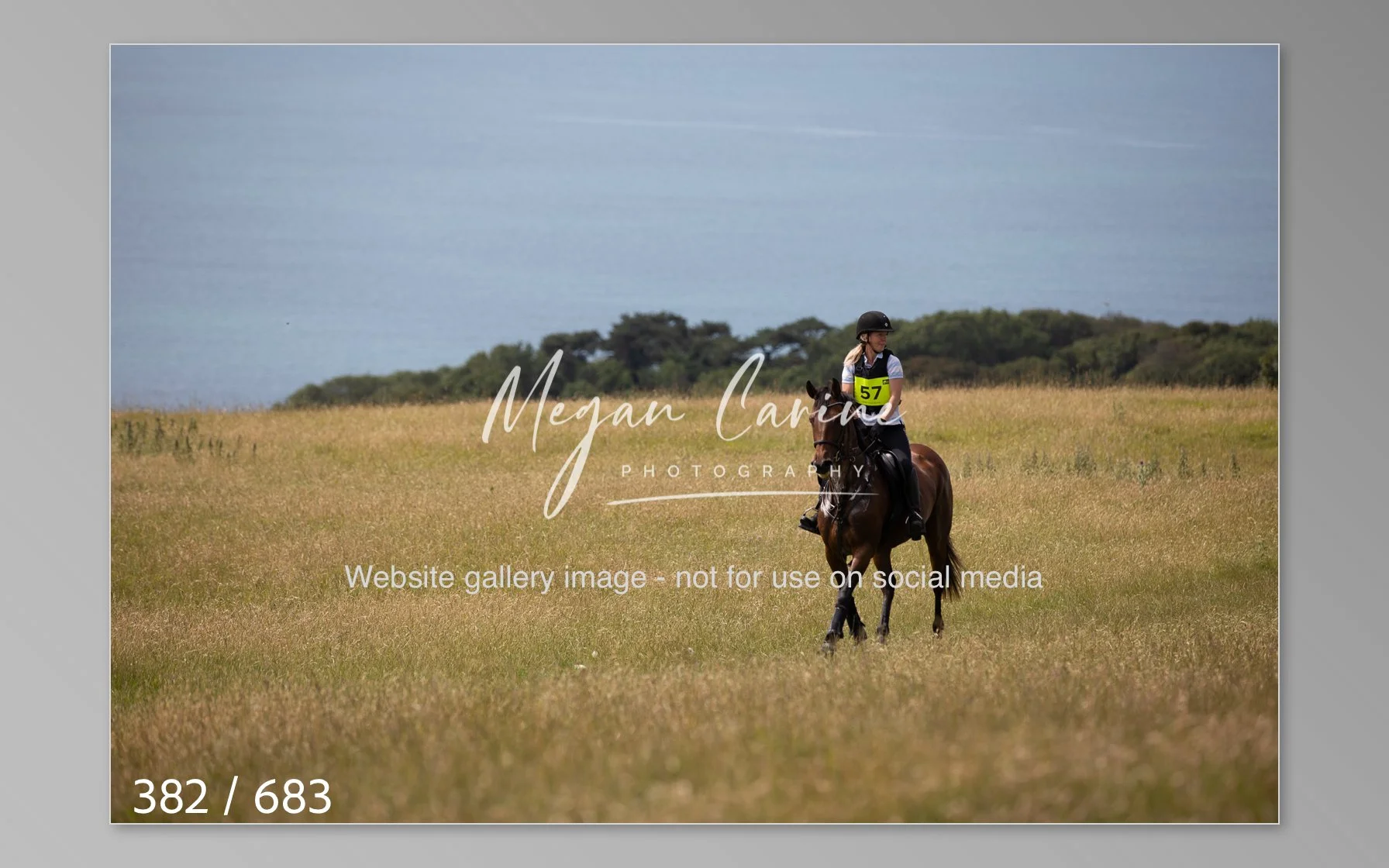 Abbotsbury-382.jpg
