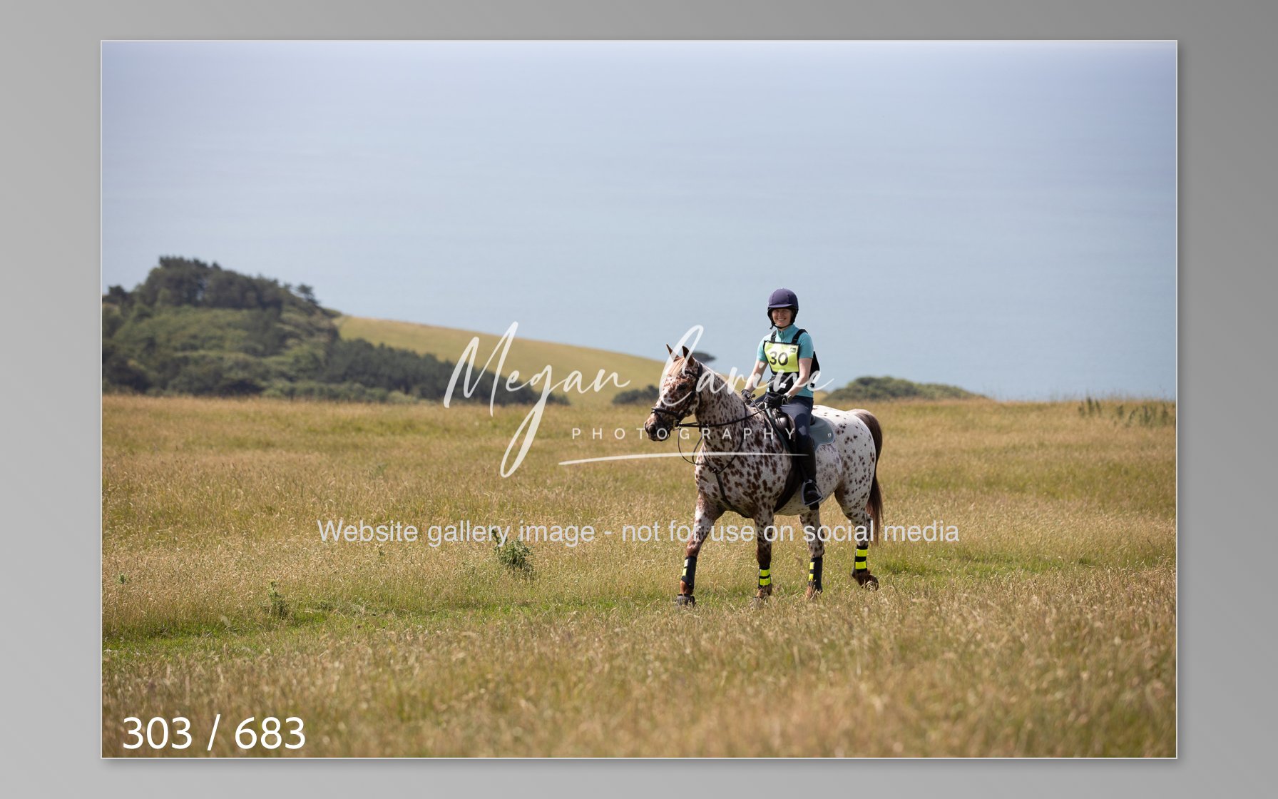 Abbotsbury-303.jpg