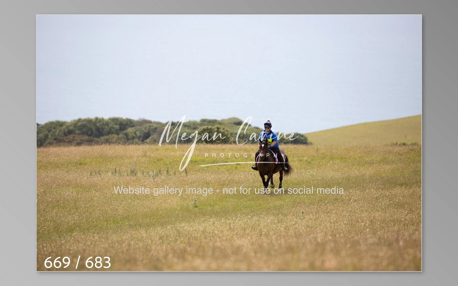 Abbotsbury-669.jpg