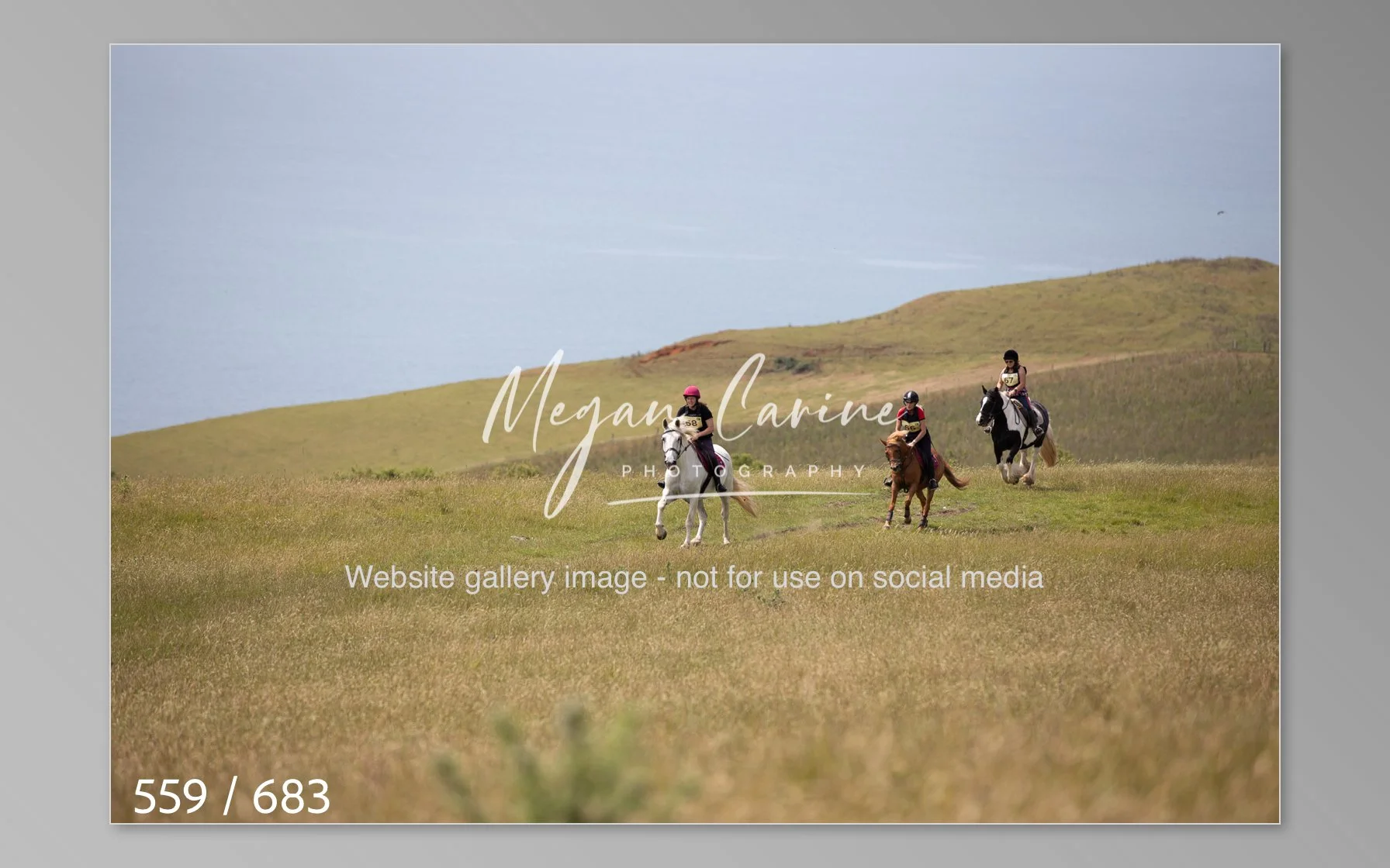 Abbotsbury-559.jpg