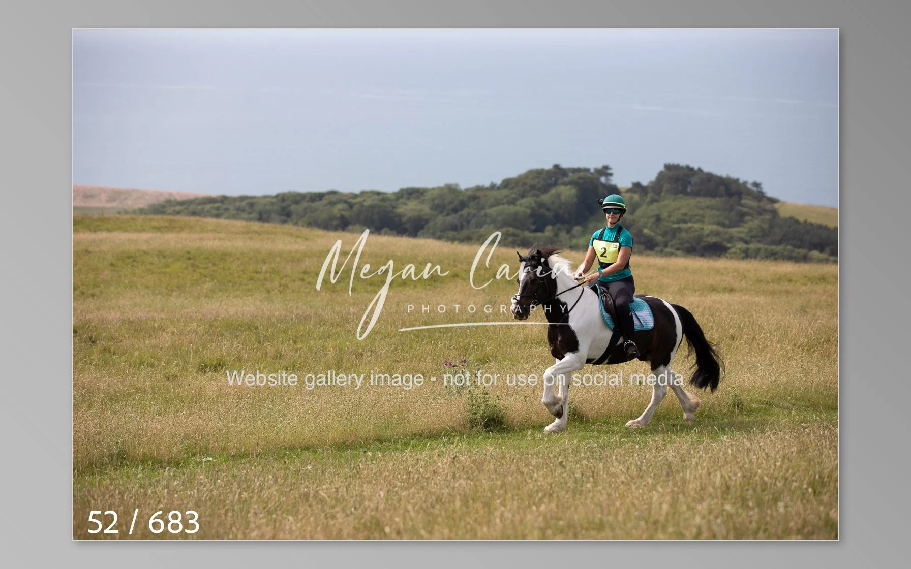 Abbotsbury-052.jpg