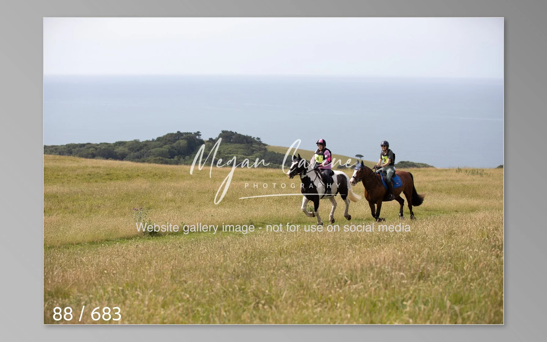Abbotsbury-088.jpg