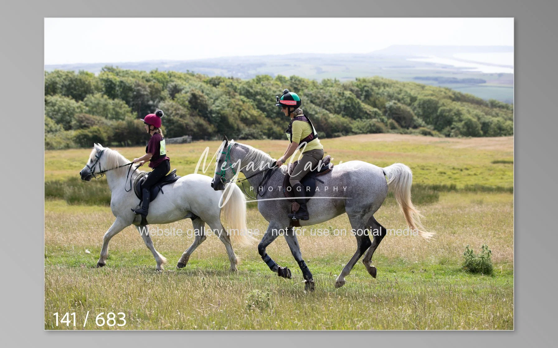 Abbotsbury-141.jpg