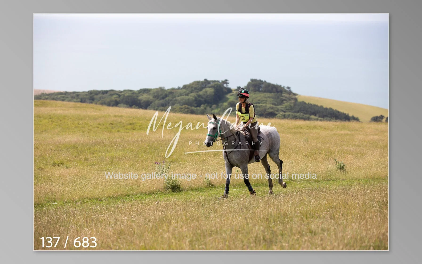 Abbotsbury-137.jpg