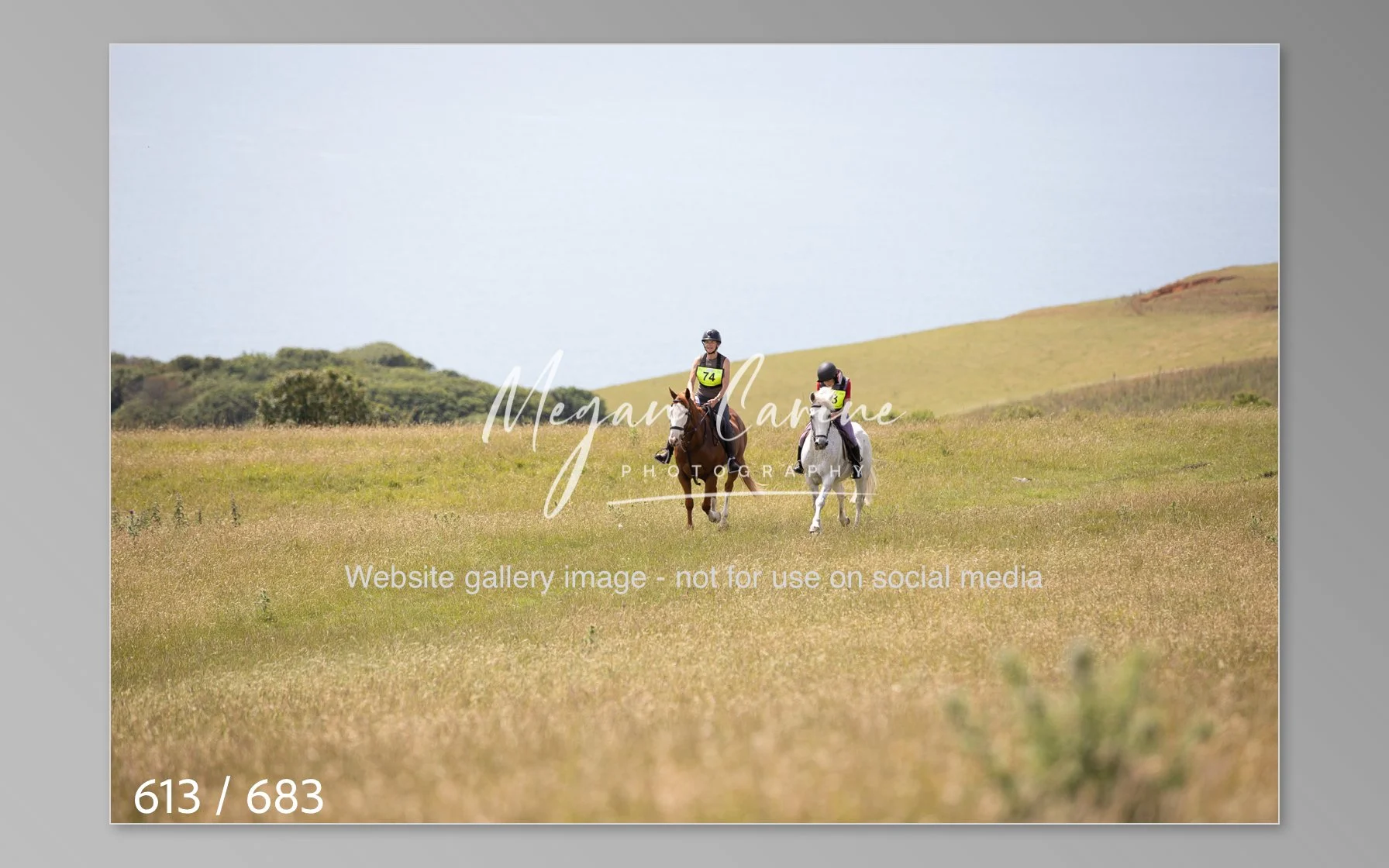 Abbotsbury-613.jpg