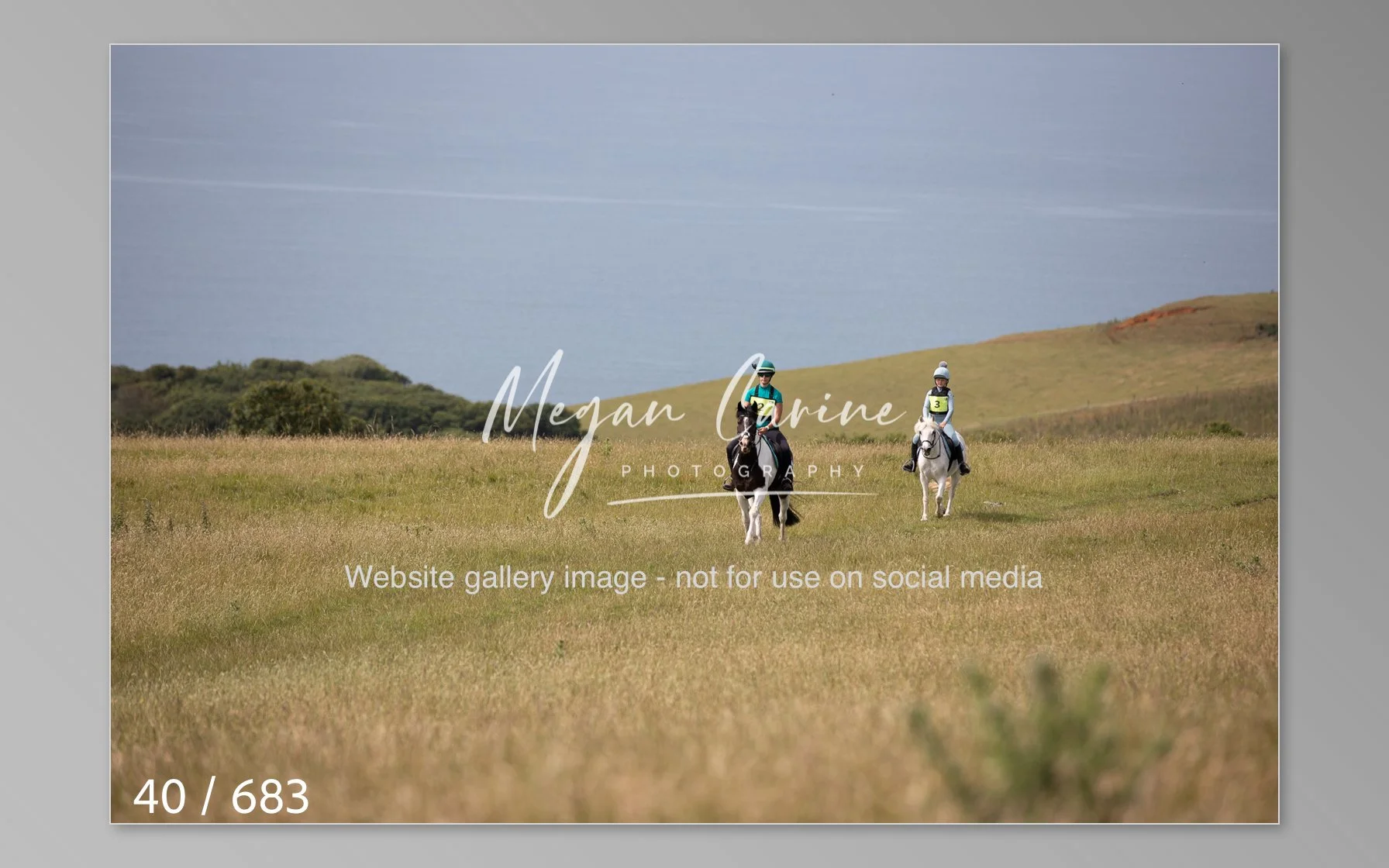 Abbotsbury-040.jpg
