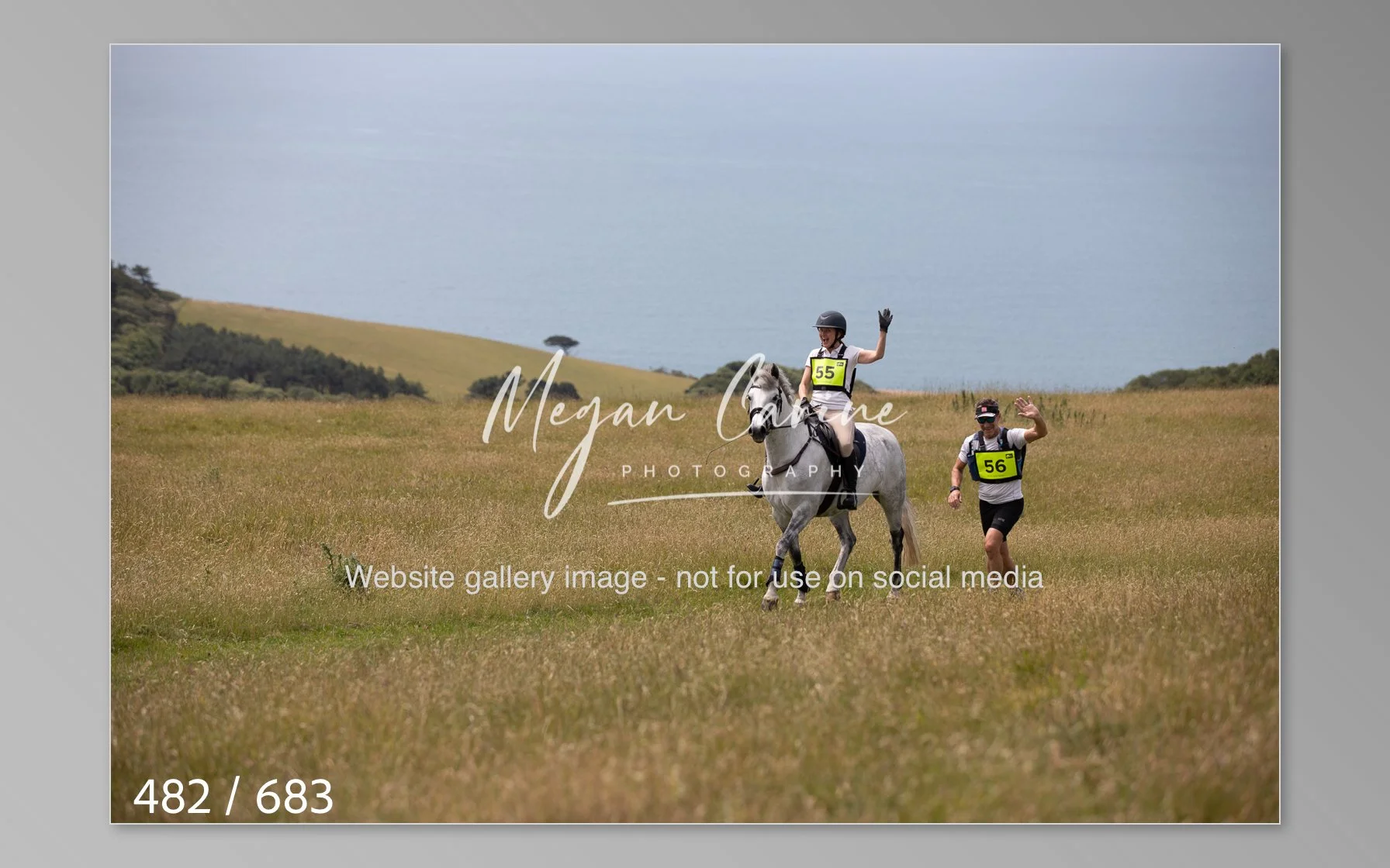 Abbotsbury-482.jpg