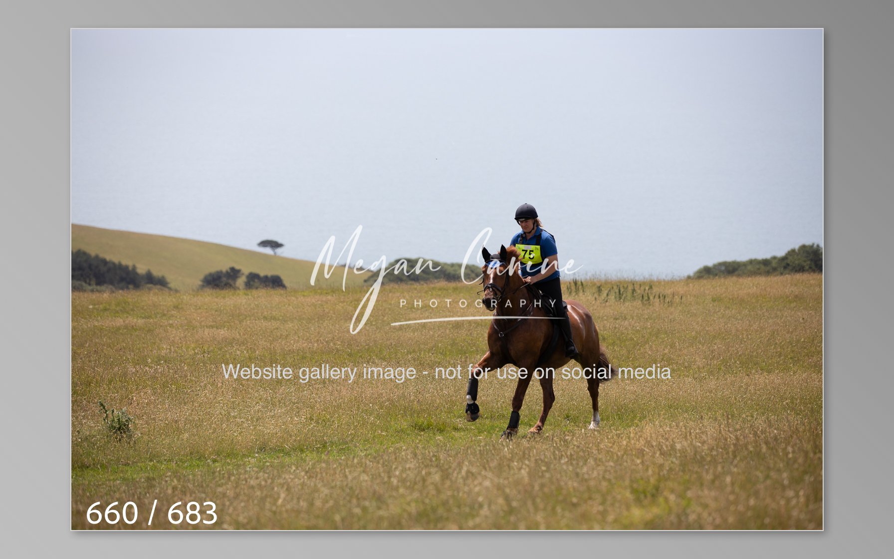 Abbotsbury-660.jpg