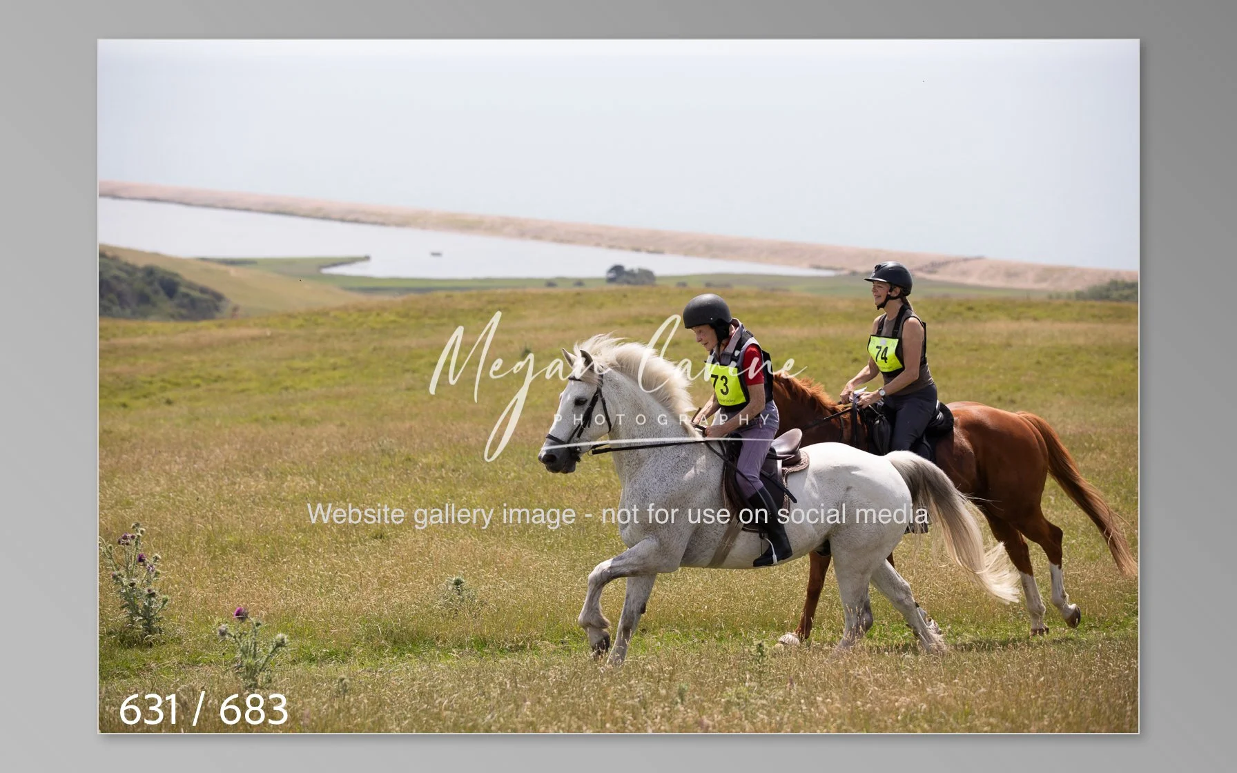 Abbotsbury-631.jpg