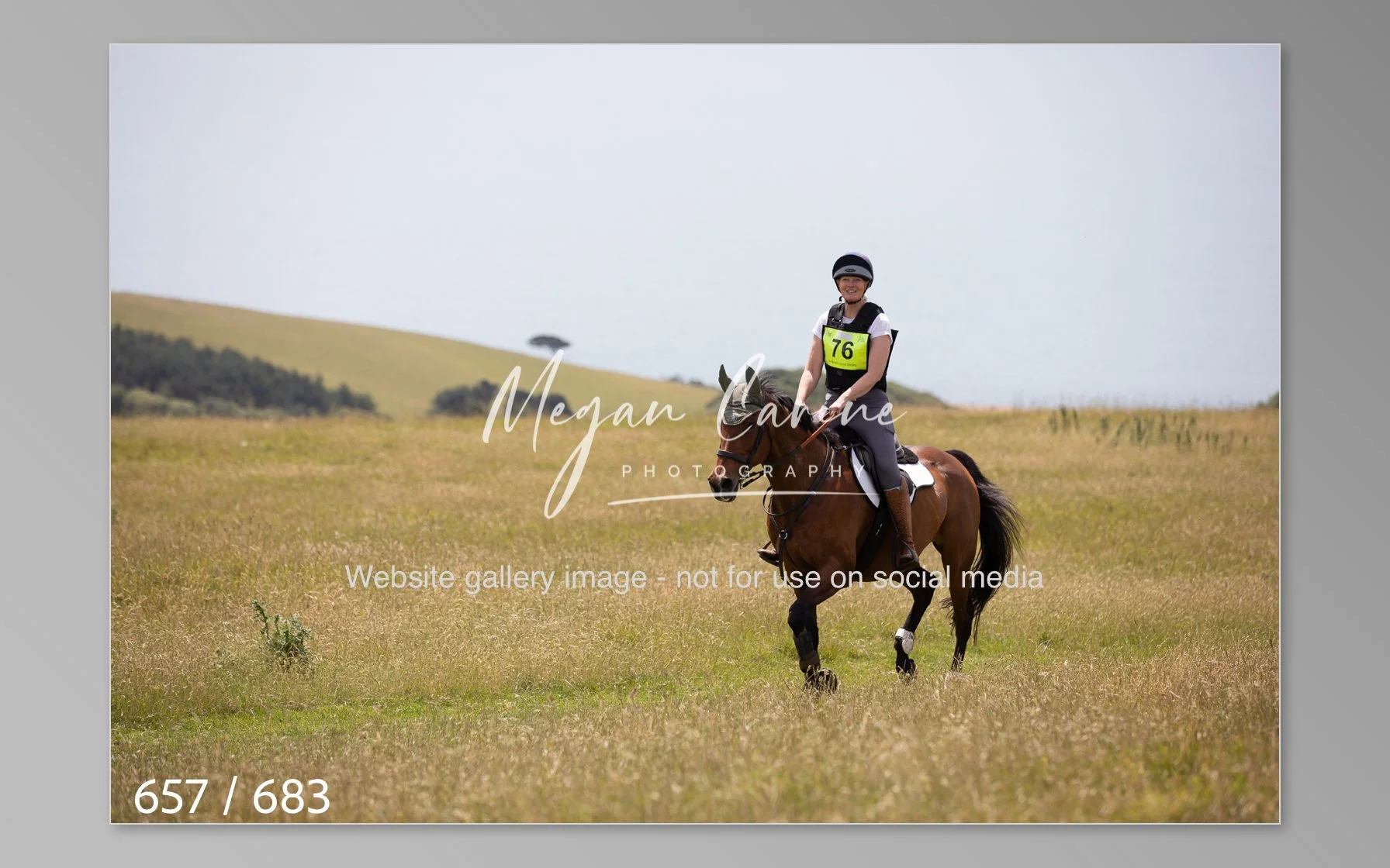 Abbotsbury-657.jpg