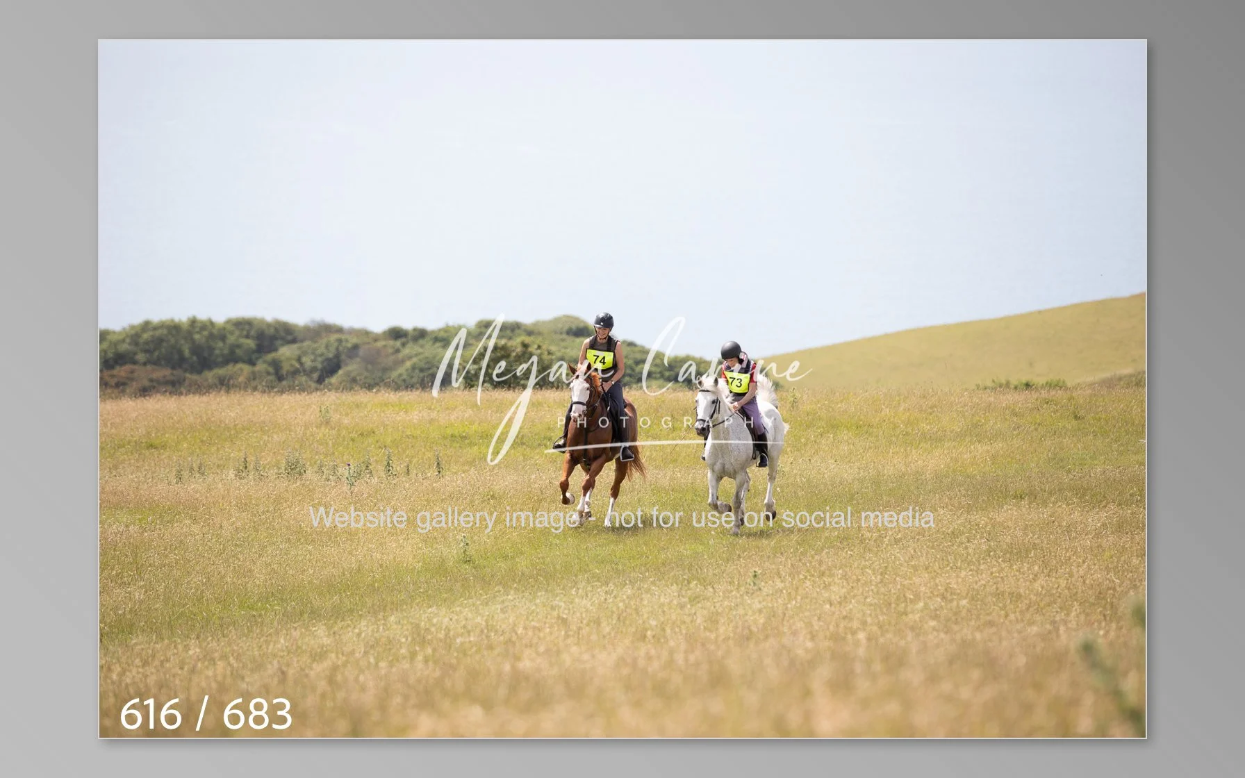 Abbotsbury-616.jpg