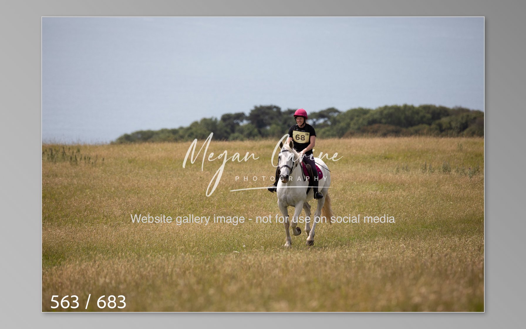 Abbotsbury-563.jpg