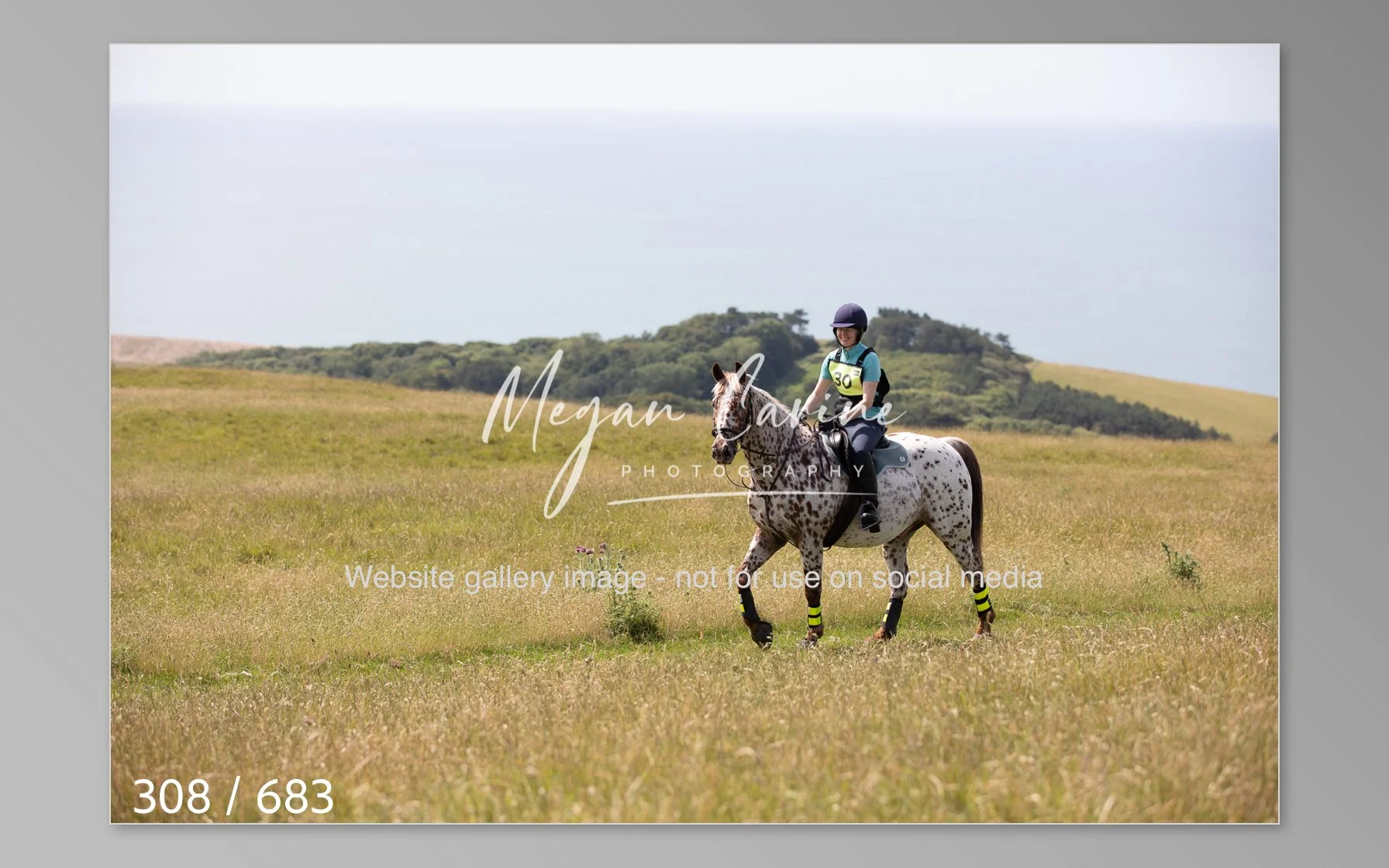 Abbotsbury-308.jpg
