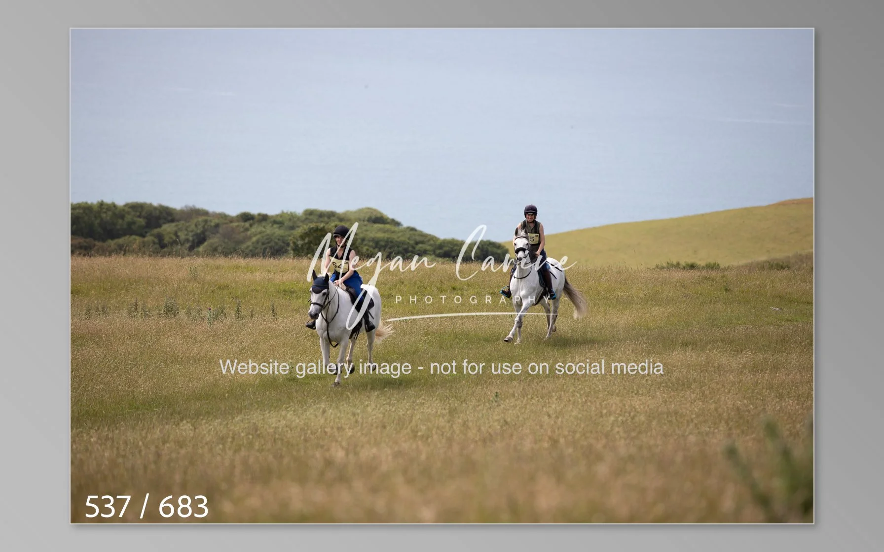 Abbotsbury-537.jpg