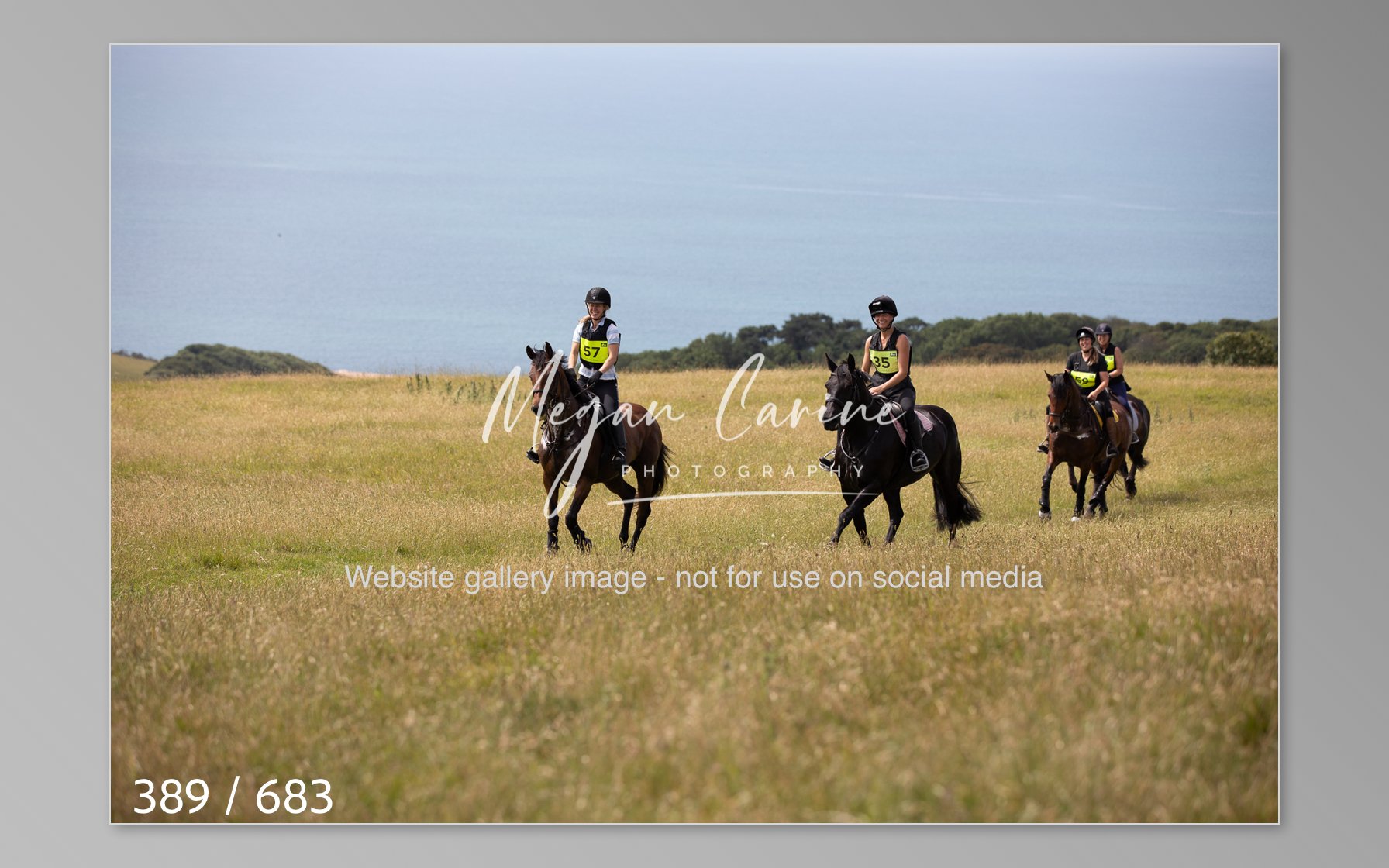 Abbotsbury-389.jpg