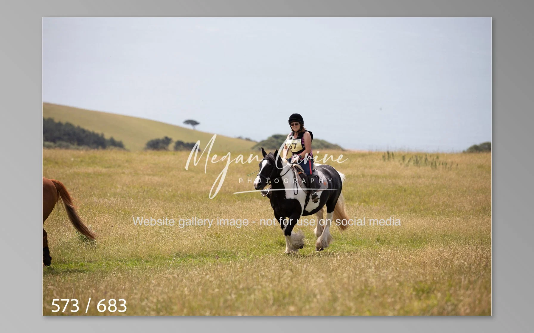 Abbotsbury-573.jpg