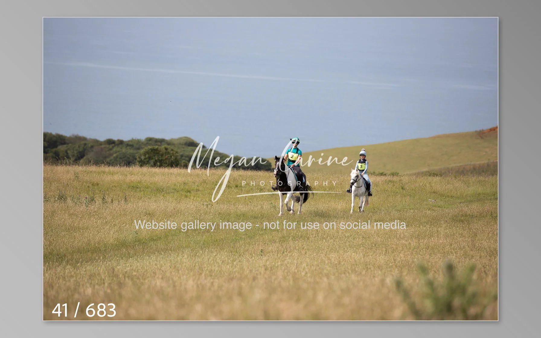 Abbotsbury-041.jpg