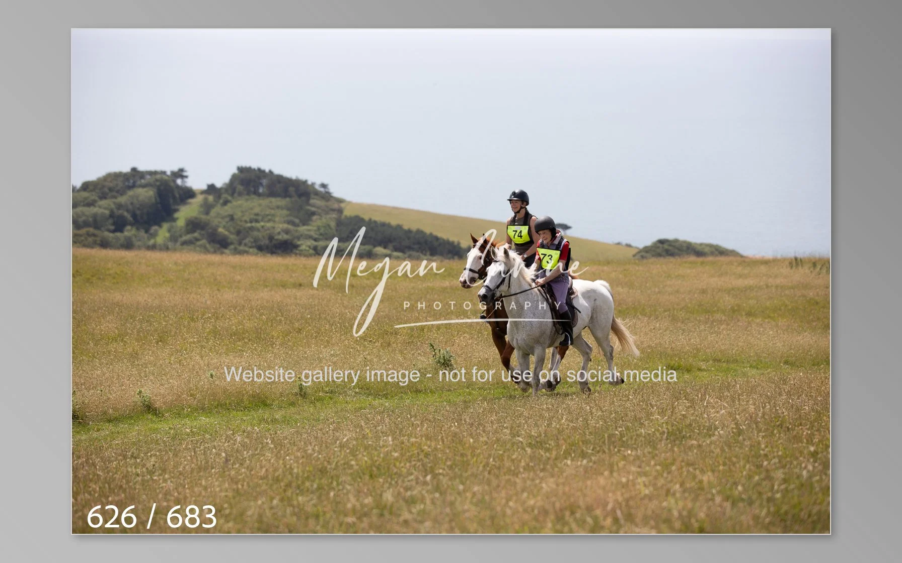 Abbotsbury-626.jpg
