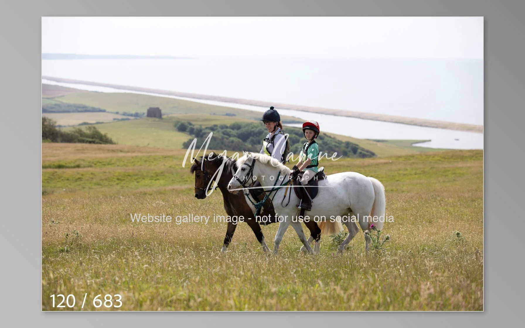 Abbotsbury-120.jpg