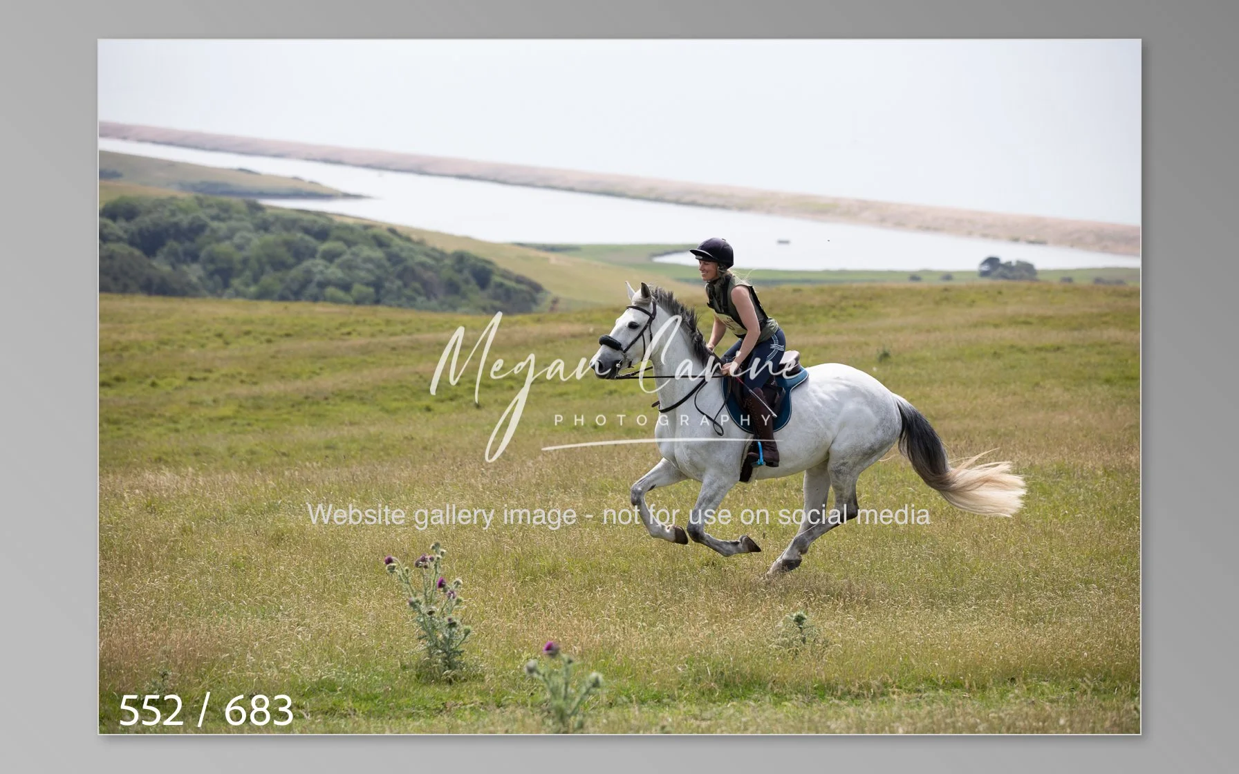 Abbotsbury-552.jpg