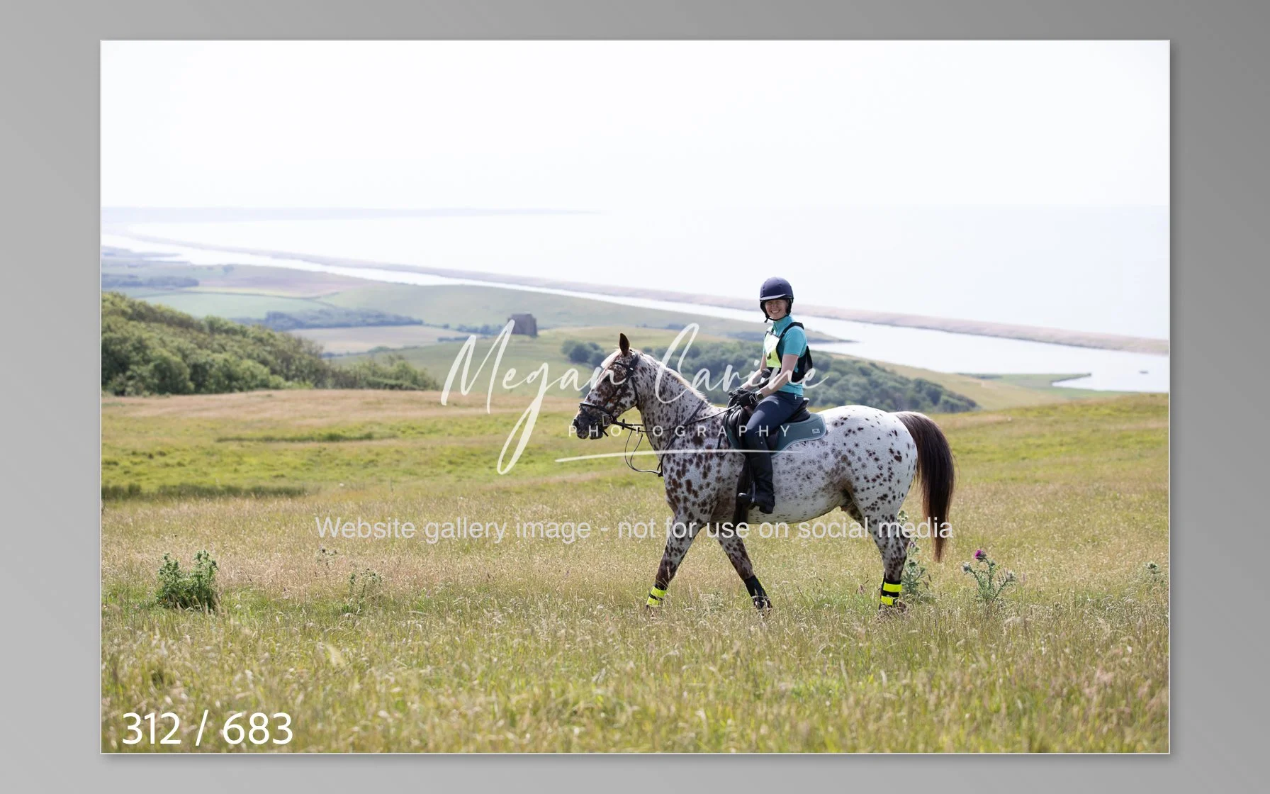 Abbotsbury-312.jpg