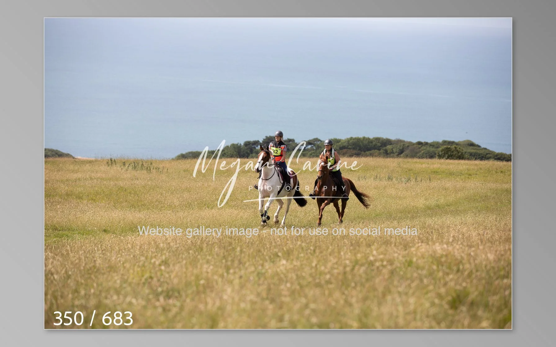 Abbotsbury-350.jpg