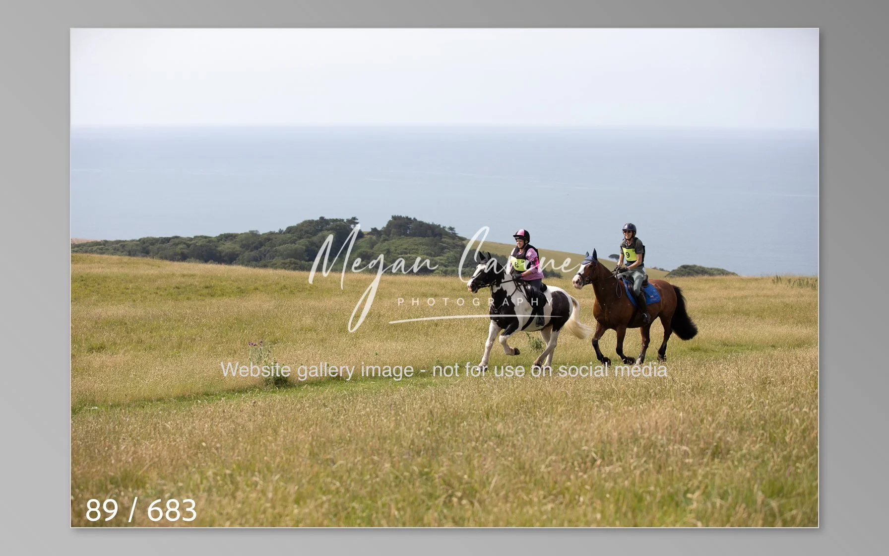 Abbotsbury-089.jpg