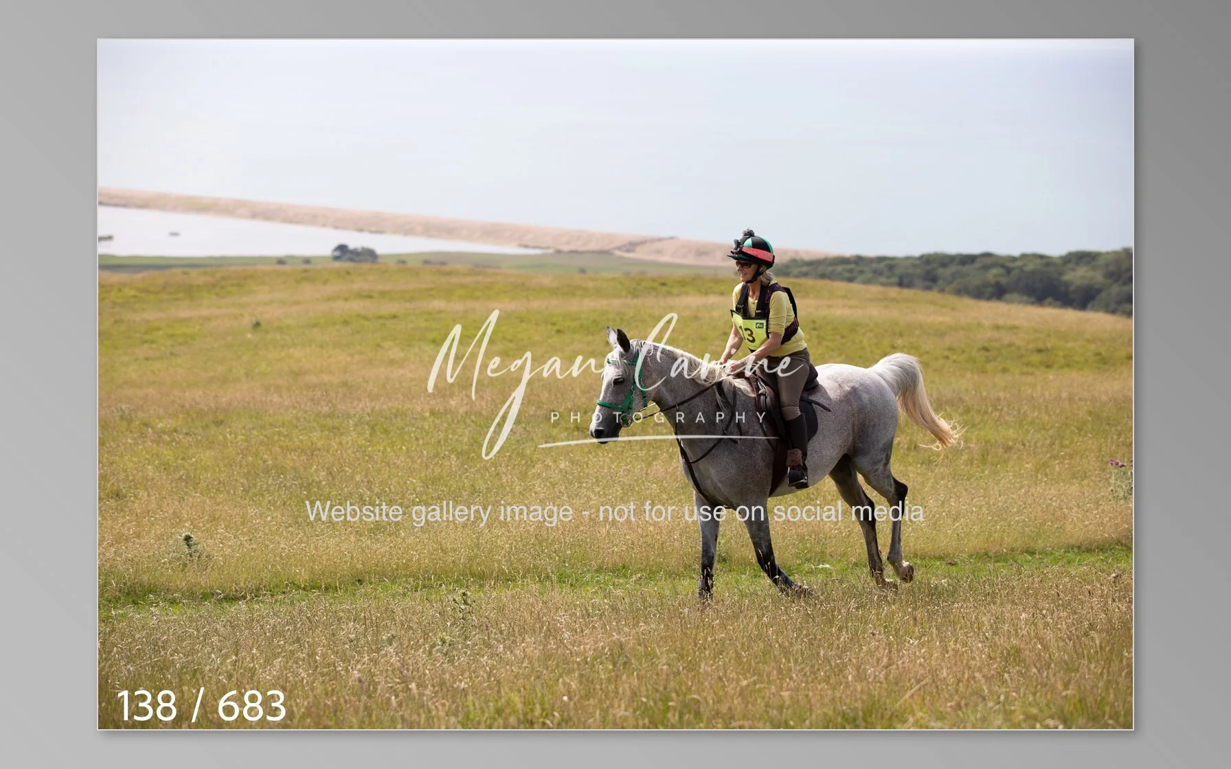Abbotsbury-138.jpg
