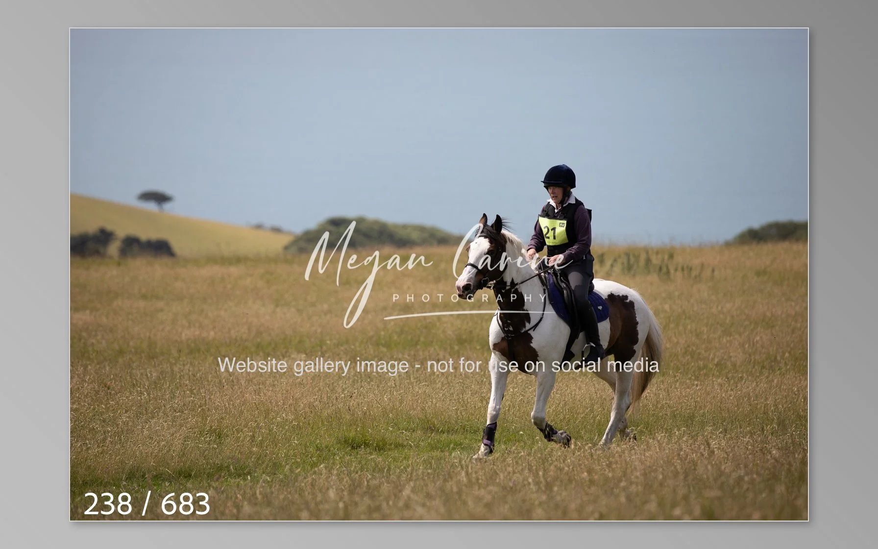 Abbotsbury-238.jpg