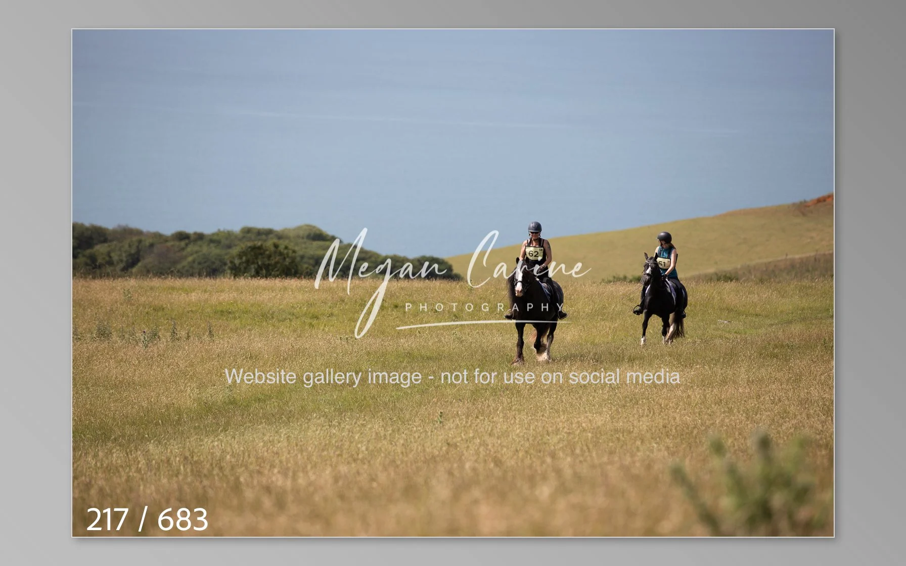 Abbotsbury-217.jpg