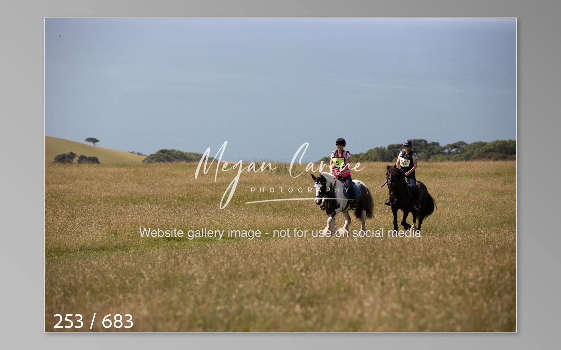 Abbotsbury-253.jpg