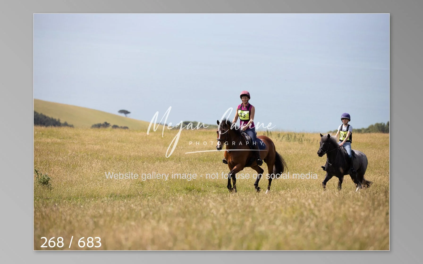 Abbotsbury-268.jpg