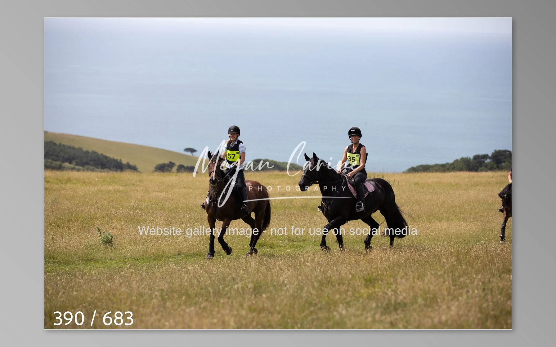 Abbotsbury-390.jpg