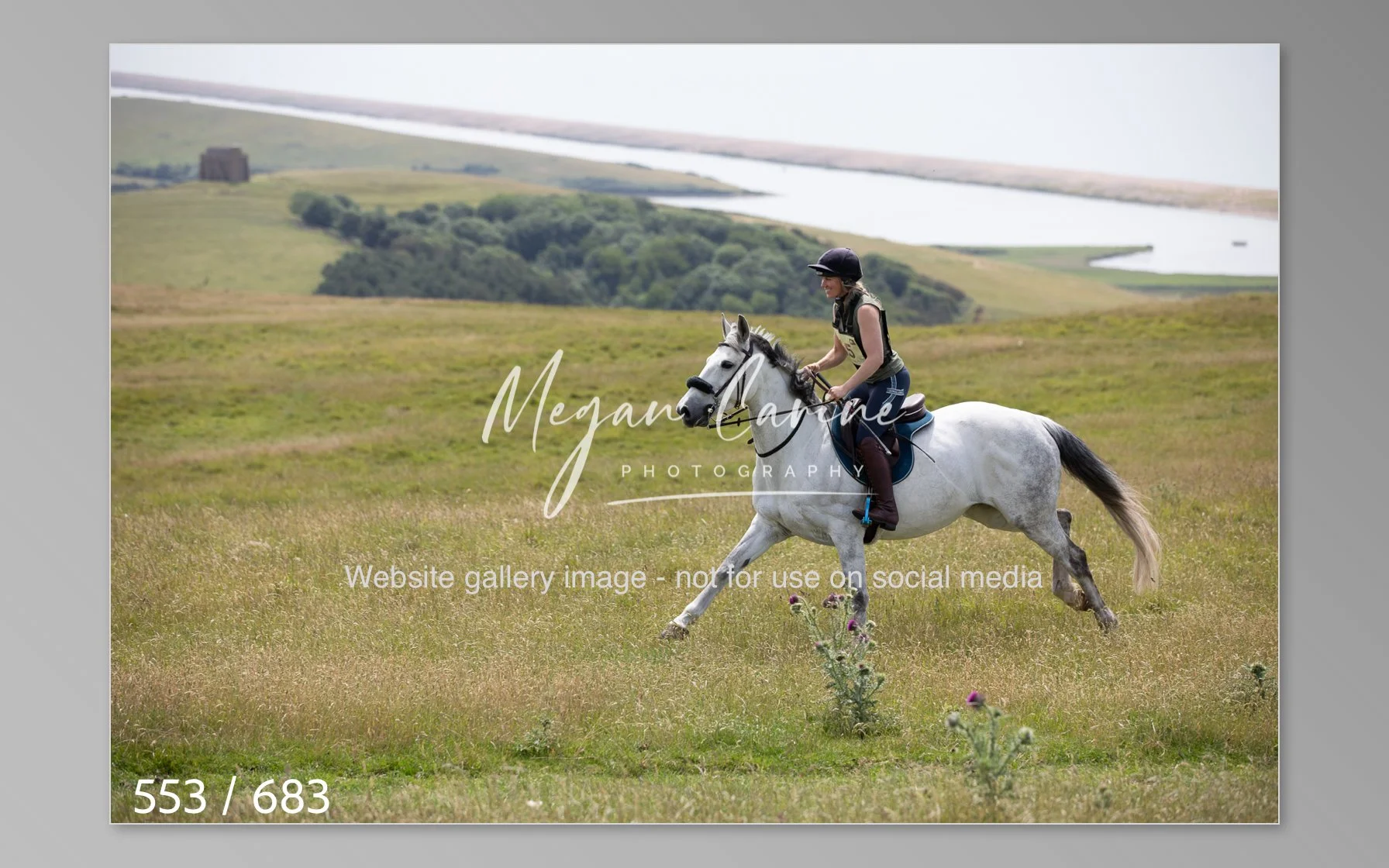 Abbotsbury-553.jpg