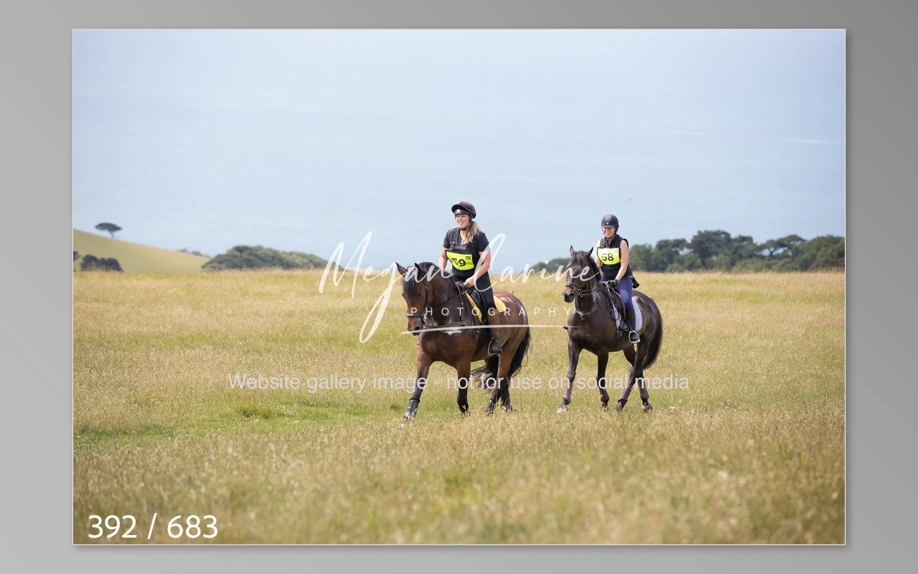 Abbotsbury-392.jpg