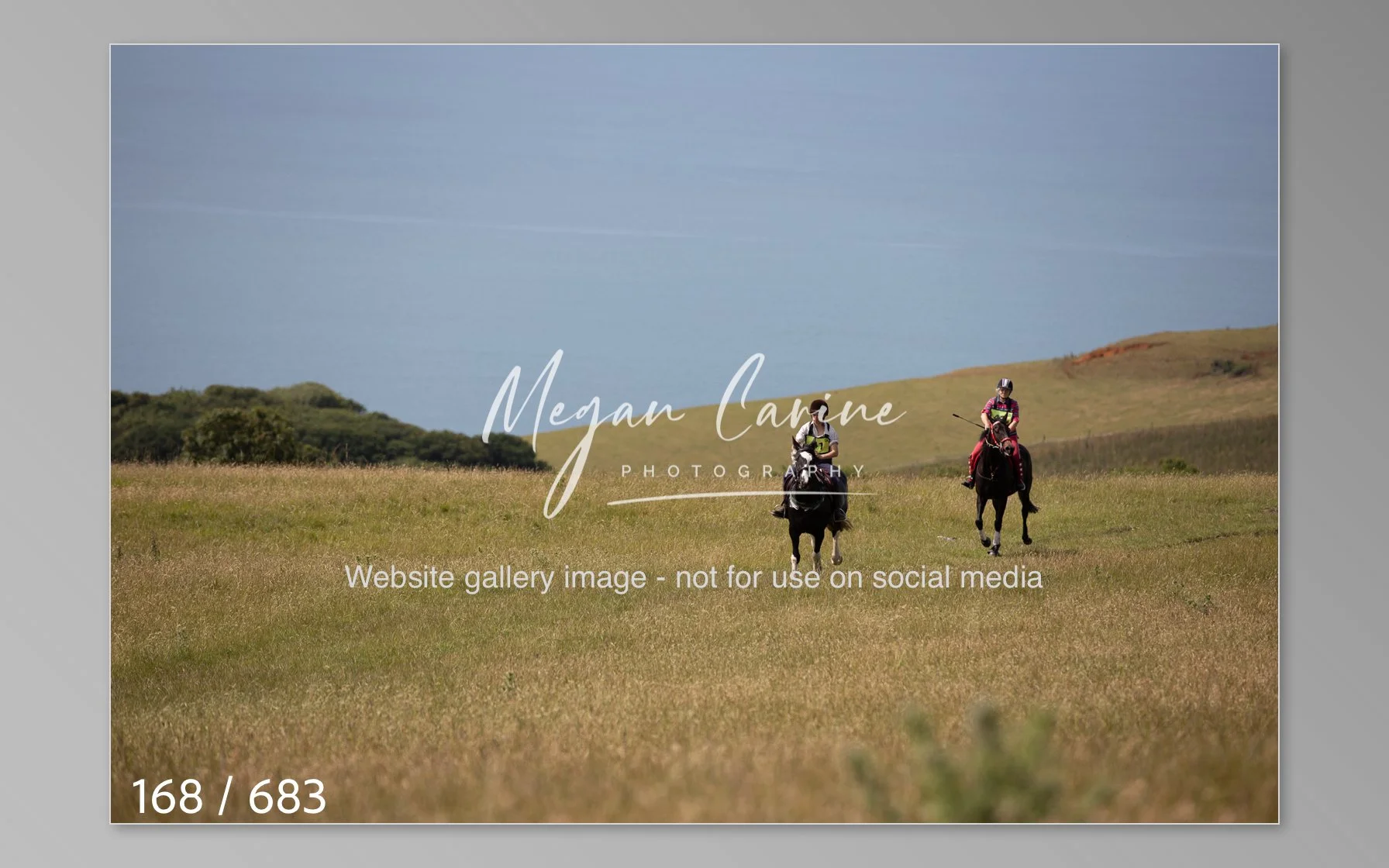 Abbotsbury-168.jpg