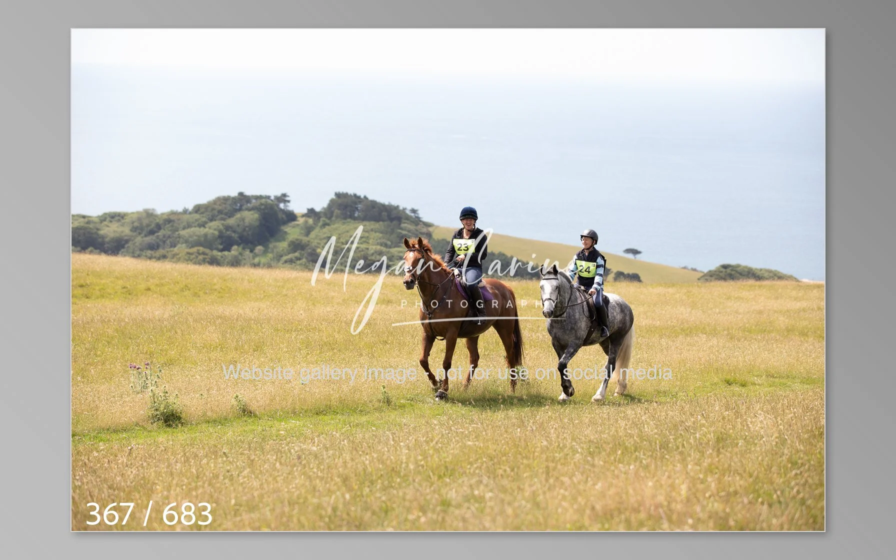 Abbotsbury-367.jpg