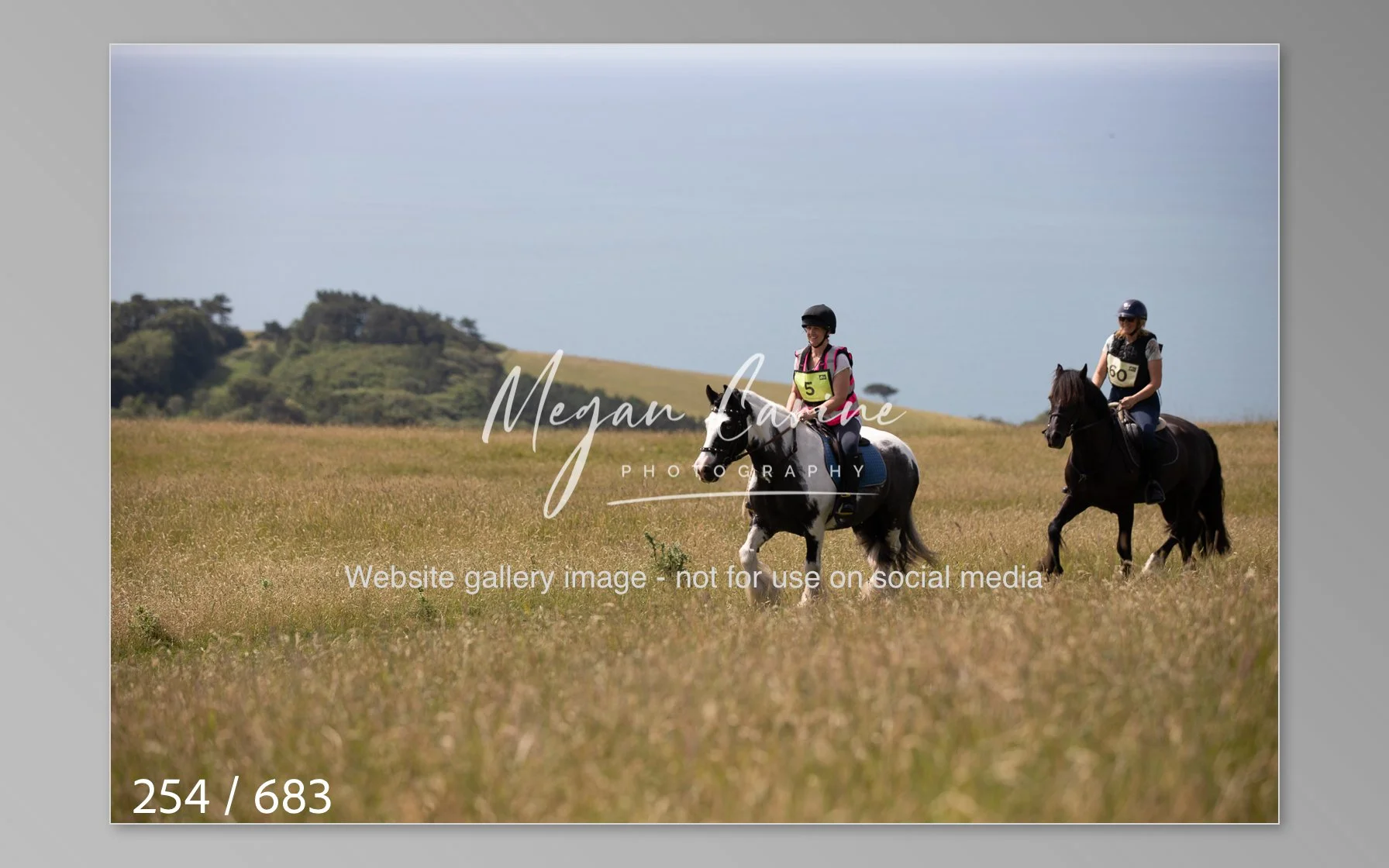 Abbotsbury-254.jpg