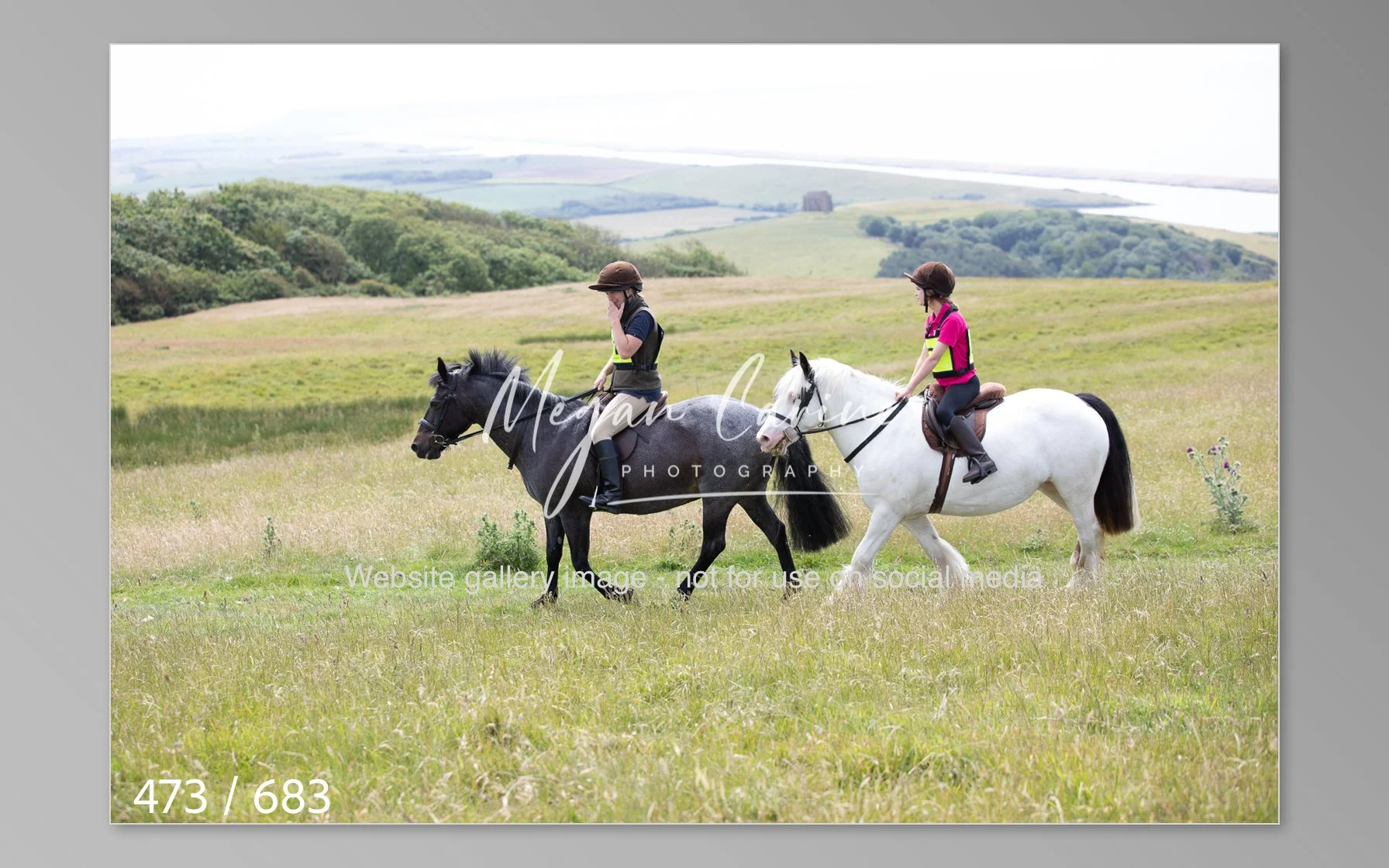Abbotsbury-473.jpg